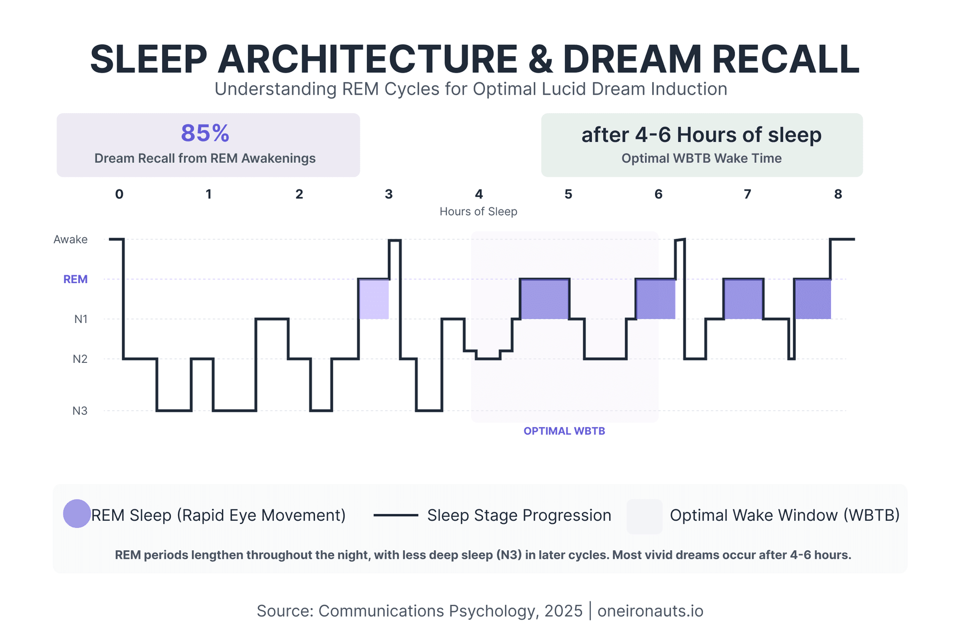 Sleep architecture showing REM cycles getting longer throughout 8 hours of sleep, with optimal WBTB wake window at 4-6 hours. 85% dream recall from REM awakenings.